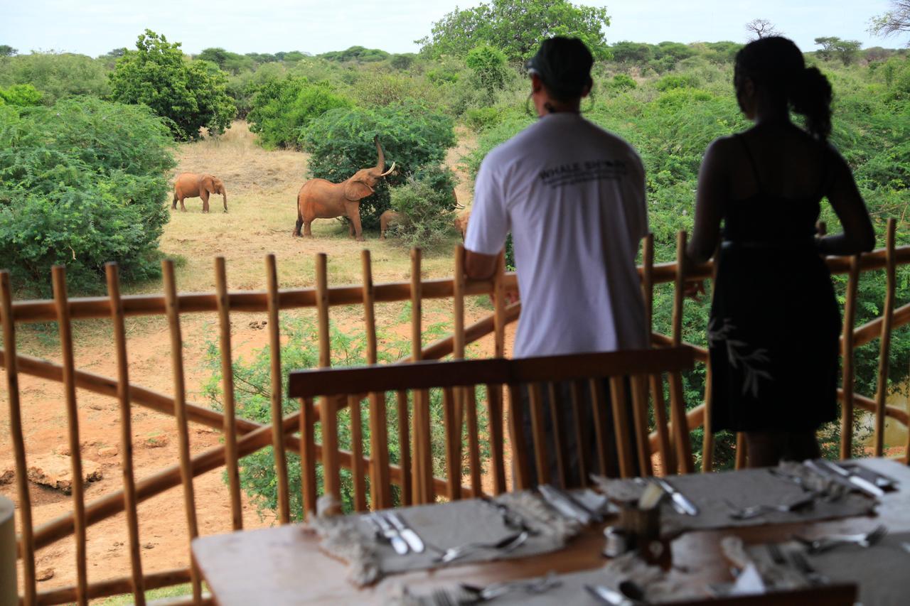 Manyatta Camp Hotel Voi Exterior foto
